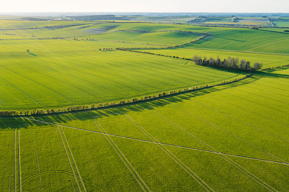 Cambridgeshire countryside