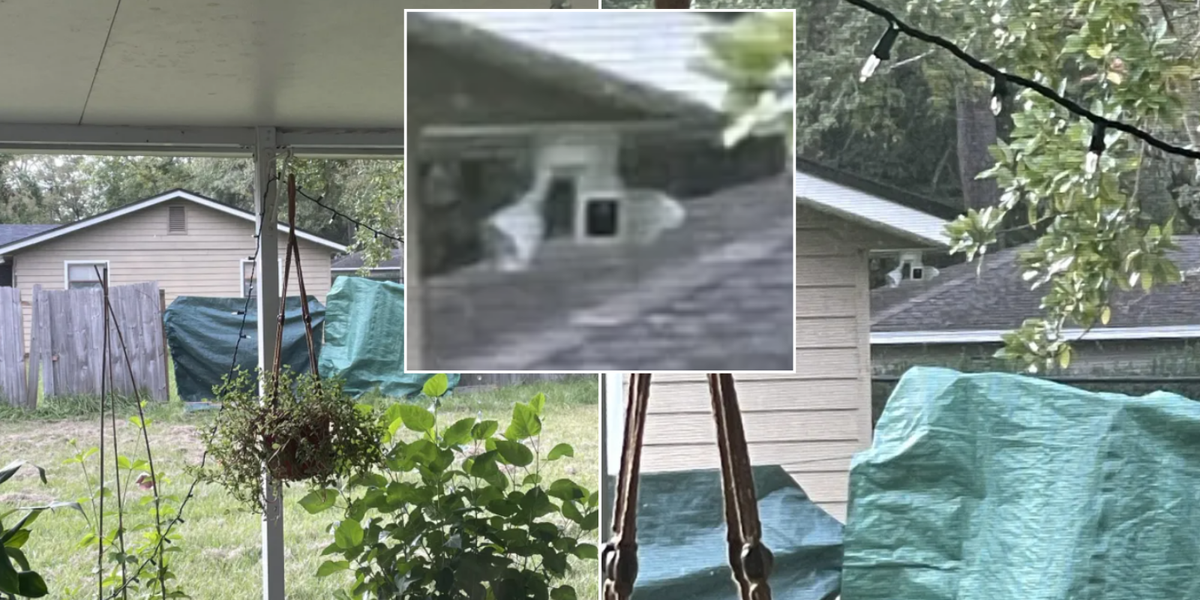 NextImg:Neighbour accused of filming directly into home next door with family left feeling 'uncomfortable'