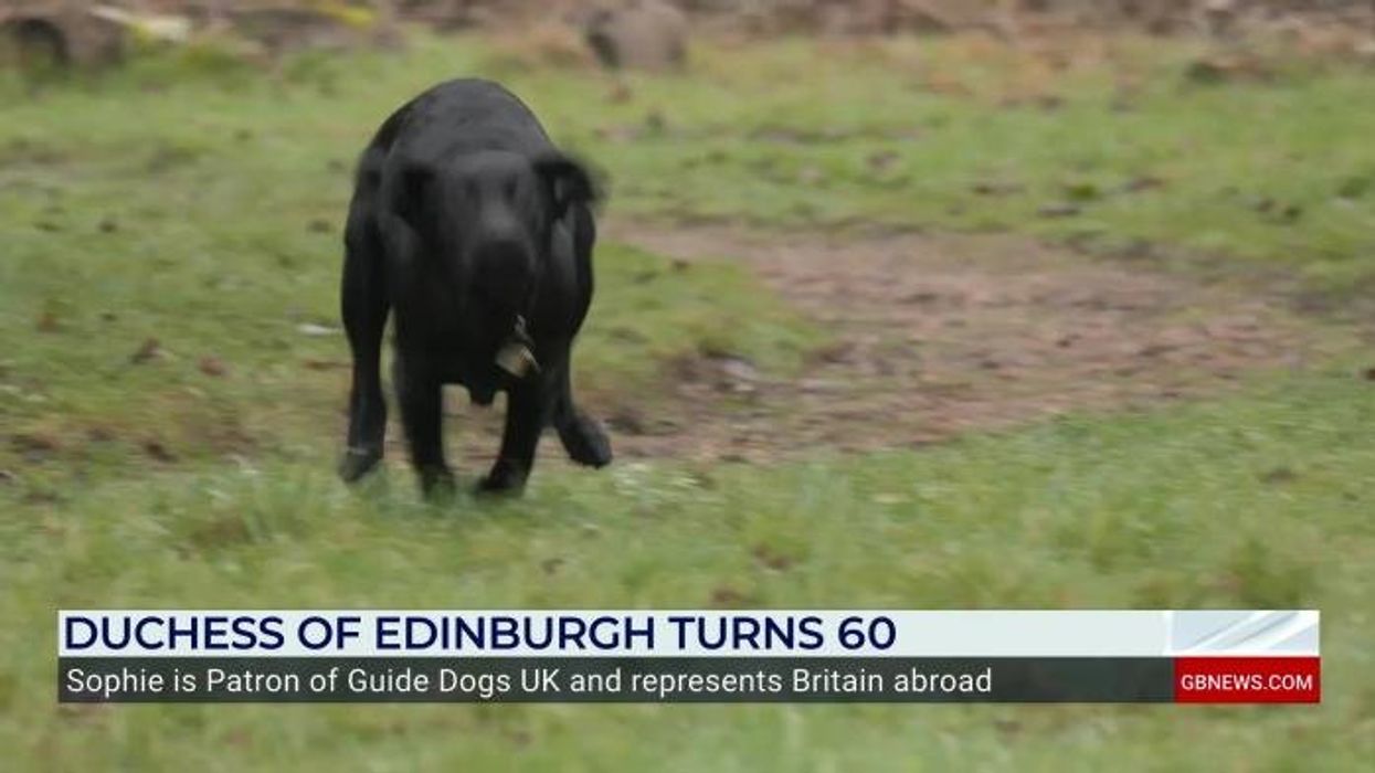 Duchess of Edinburgh poses with Paddington Bear as she holds key meeting with Peruvian President