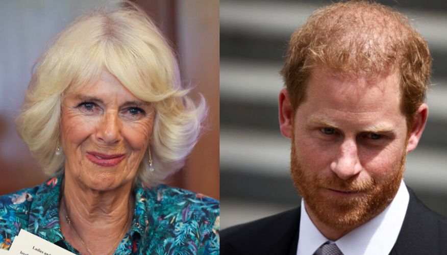 Camilla, Duchess of Cornwall and Prince Harry