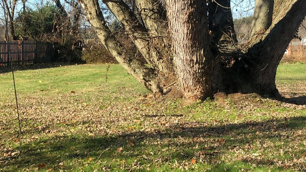 Can you spot Calvin?