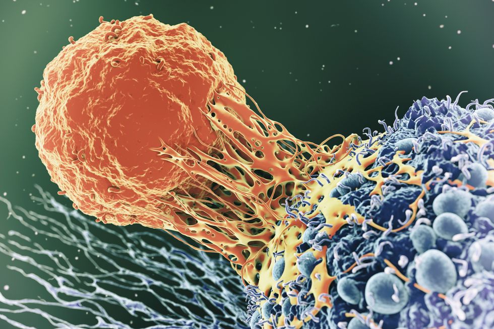 Cancer illustration