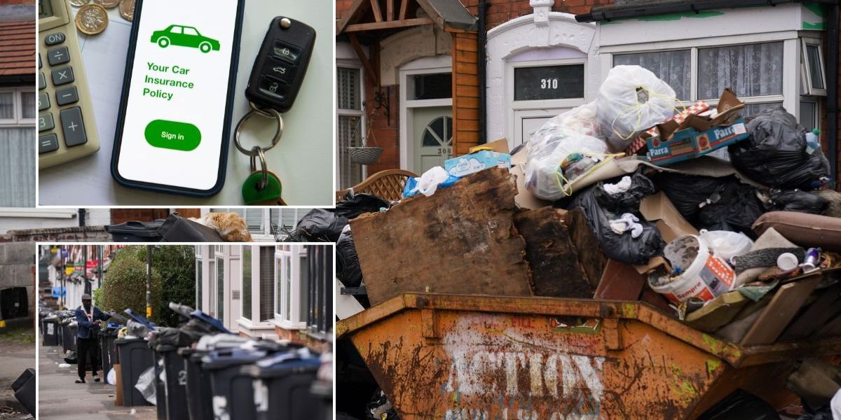 NextImg:Drivers risk car insurance chaos as bin strikes rage on - 'You will not be covered by damage caused by rats'
