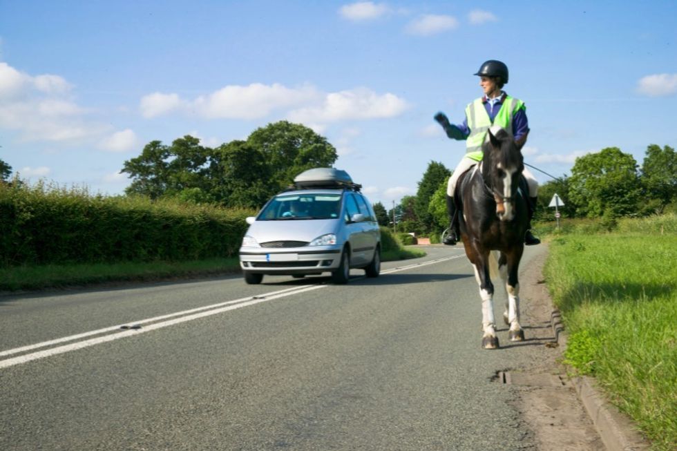 Car passing horse on the road
