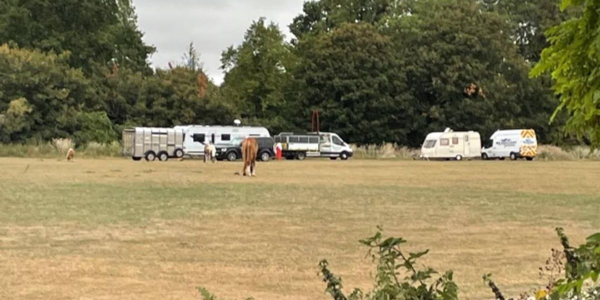Travellers ‘break locks’ to illegally invade scenic park as more than 10 caravans park up Travellers ‘break locks’ to illegally invade scenic park as more than 10 caravans park up