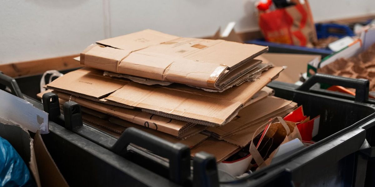 NextImg:Council slaps woman with £600 fine after 'piece of cardboard blown out of bin'