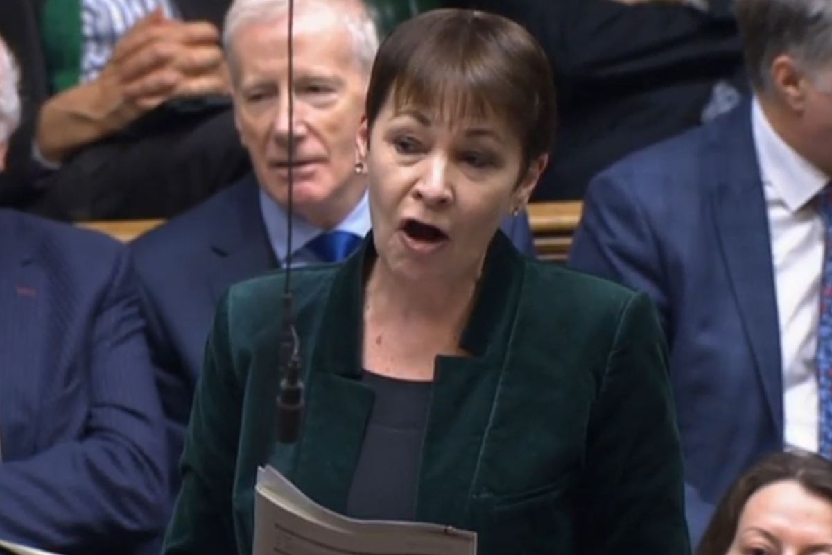 ​Caroline Lucas