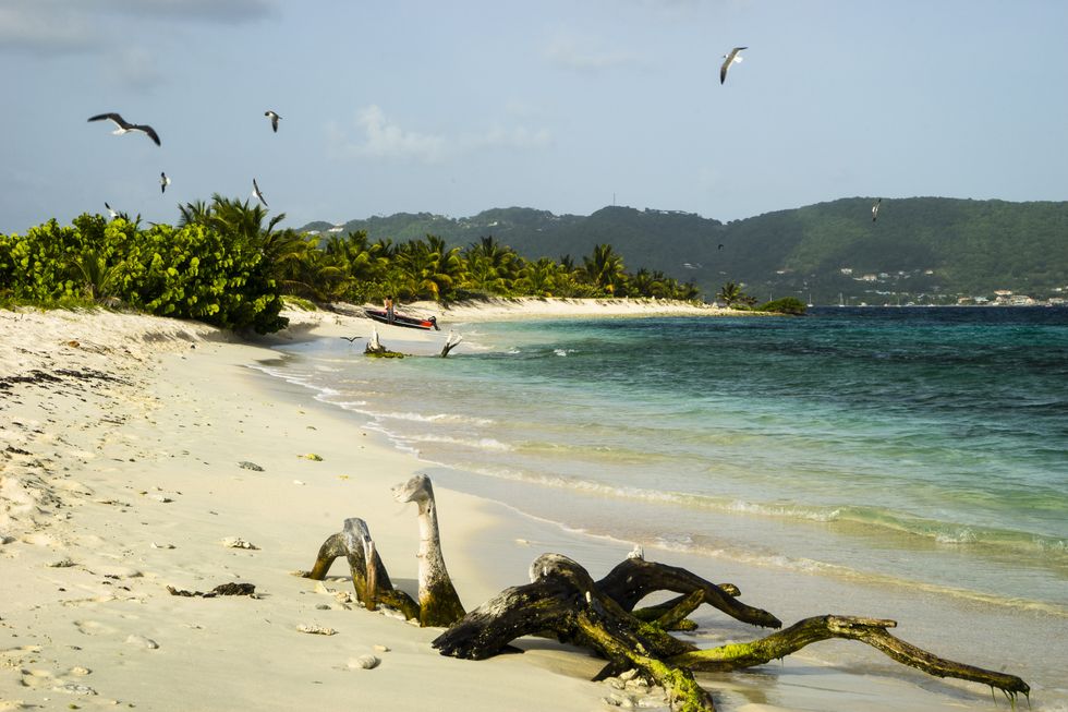 Carriacou