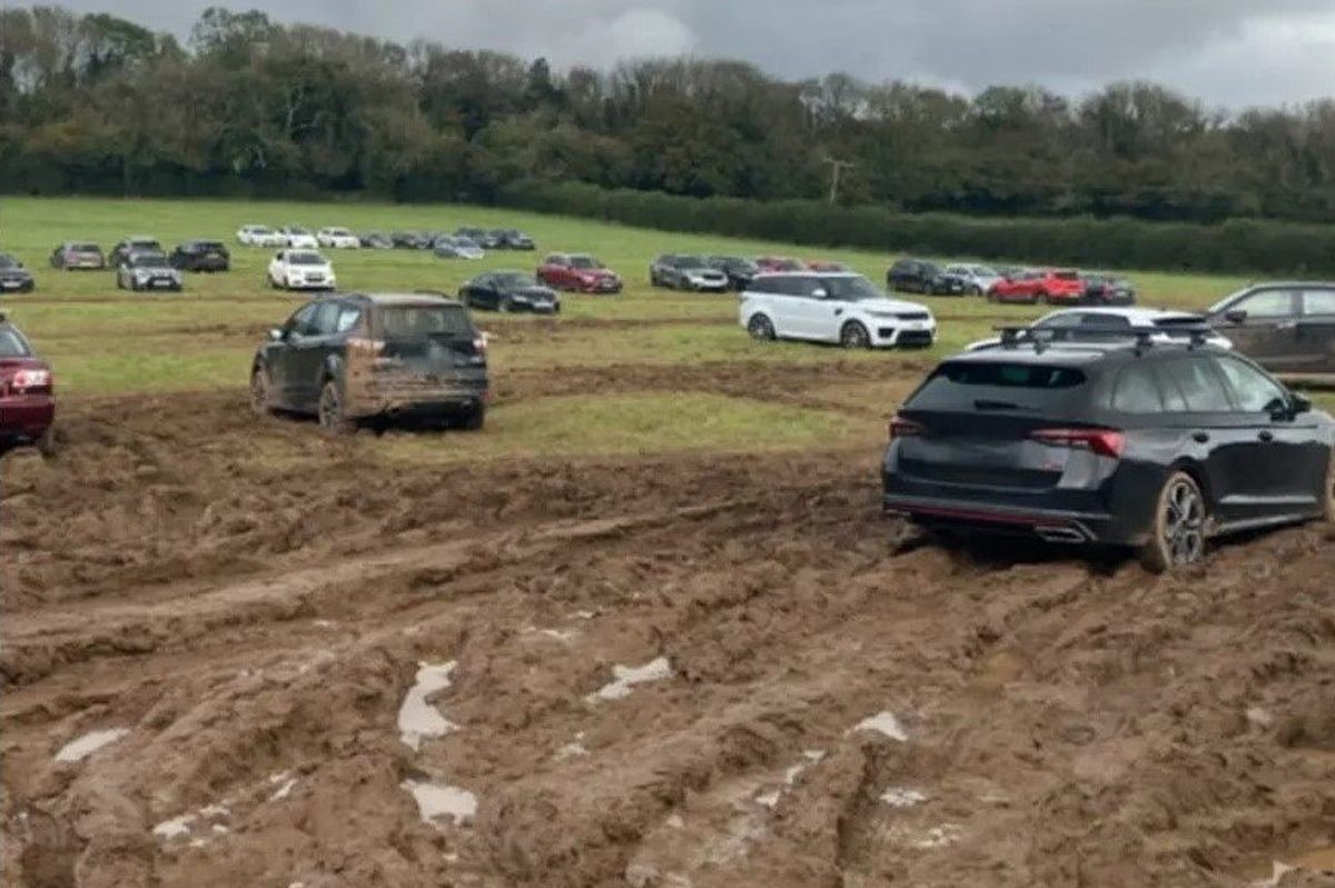 Cars were dumped in muddy fields by the rogue firm