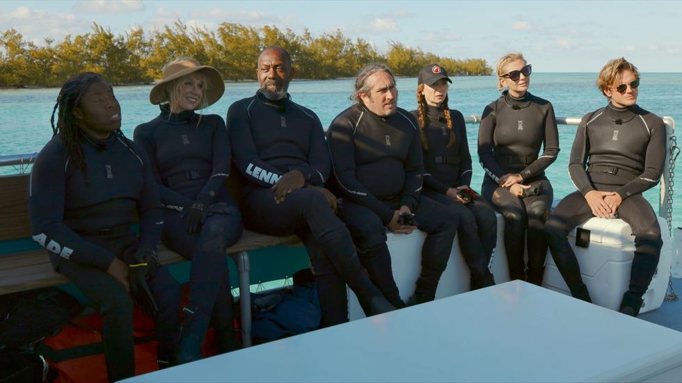 Cast of SHARK! Celebrity Infested Waters