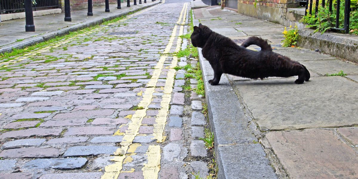 Labour rejects major driving law changes in blow to thousands despite landmark petition demanding change Labour rejects major driving law changes in blow to thousands despite landmark petition demanding change