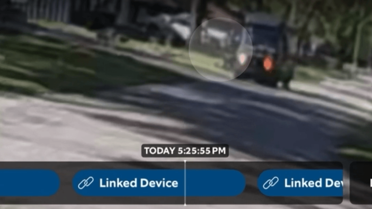 Cat theft Amazon driver