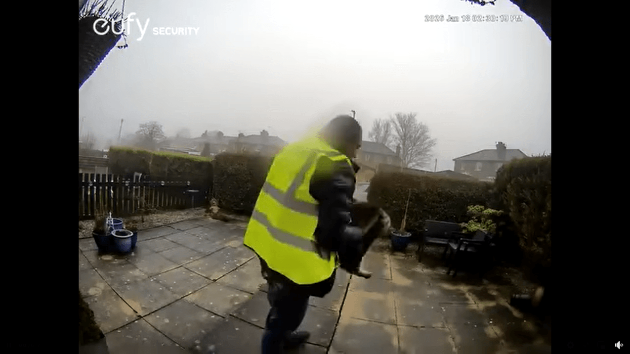 Cat theft caught on door cam