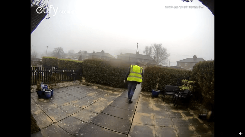 Cat theft caught on door cam