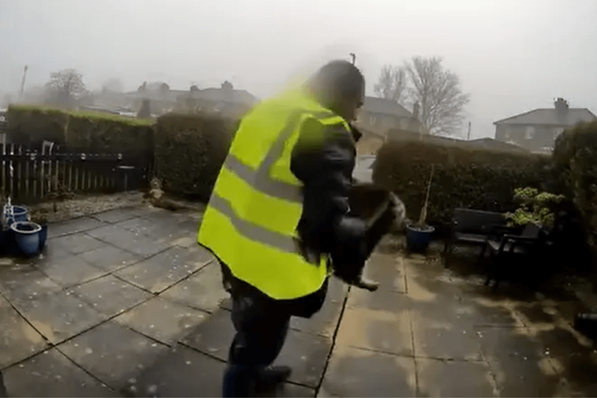 Catalin Stancu snatching a tabby cat from a family's front garden