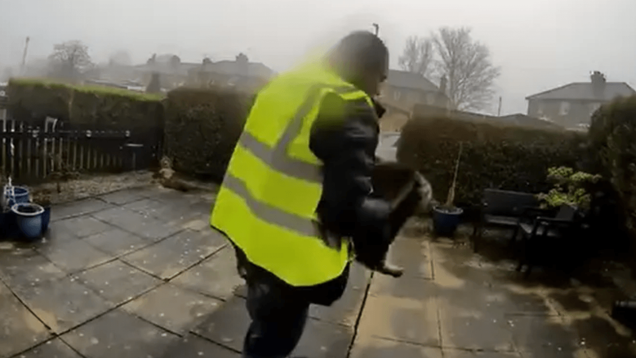 Catalin Stancu snatching a tabby cat from a family's front garden