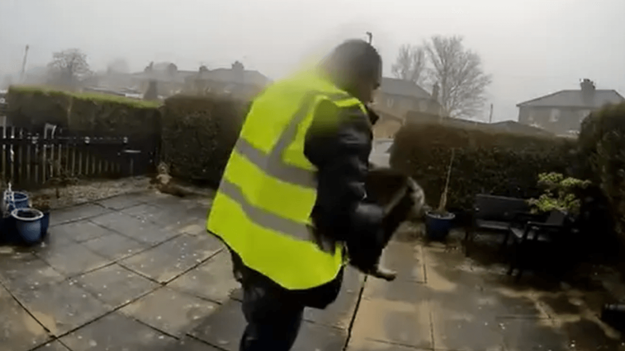 Catalin Stancu snatching a tabby cat from a family's front garden