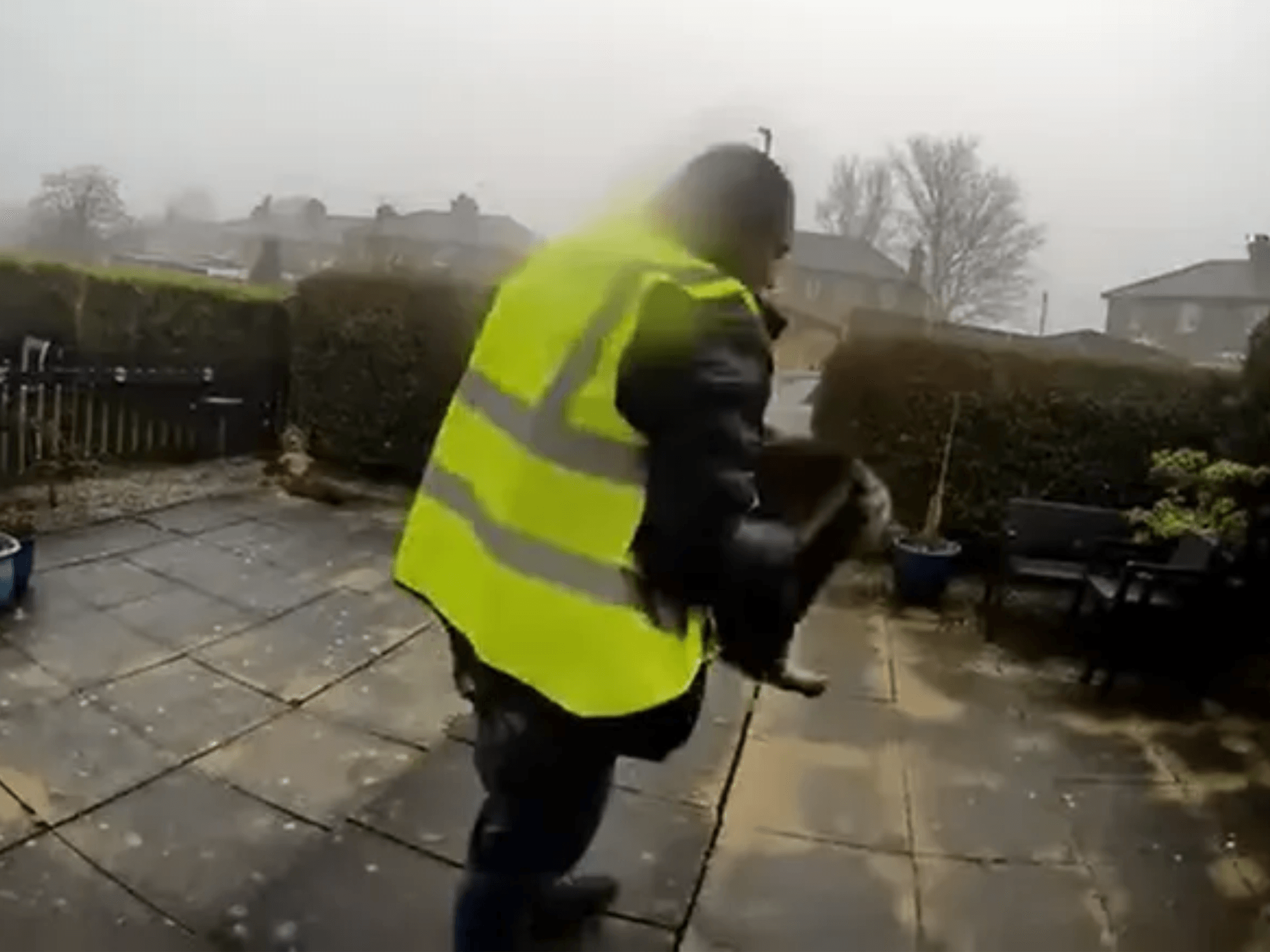 Catalin Stancu snatching a tabby cat from a family's front garden