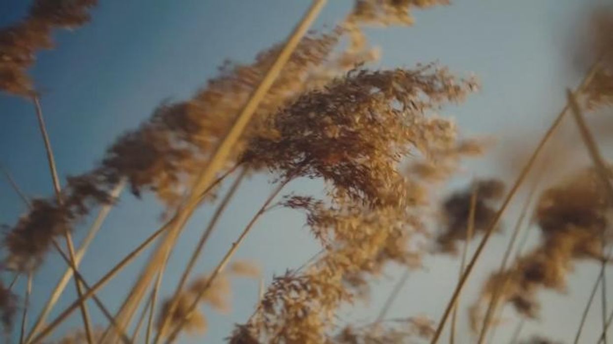 Prince William releases new video just days before major event