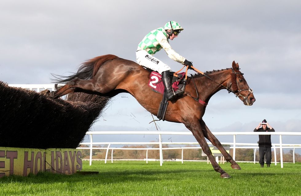 Celebre D'Allen had undergone thorough veterinary checks before the race