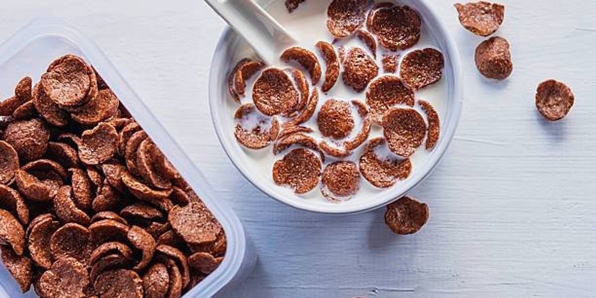 Is fibre or protein more important? Your breakfast choices could hold the answer Is fibre or protein more important? Your breakfast choices could hold the answer