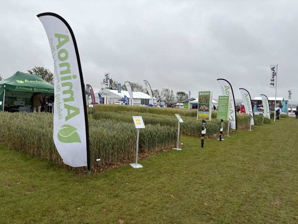 Cereals 2026: Crops