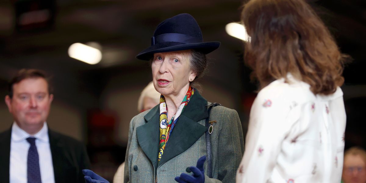 NextImg:Princess Anne health: Horse incident ‘could have been a lot worse’ as royal returns to duties