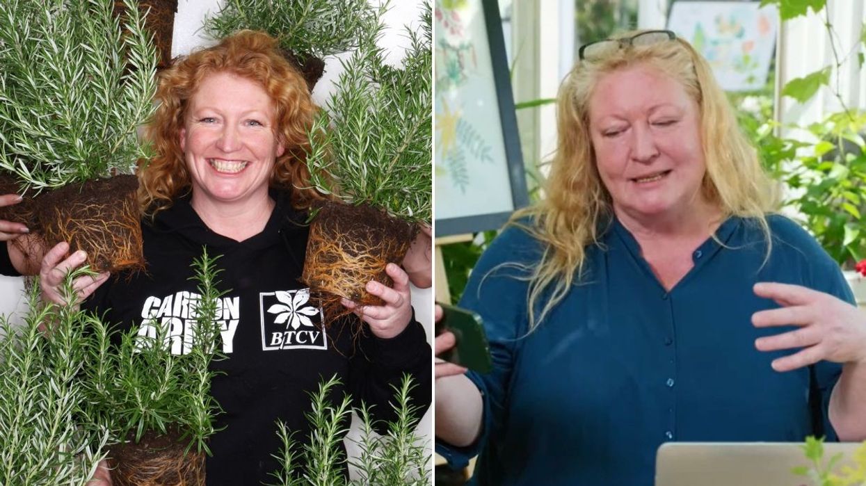 Charlie Dimmock