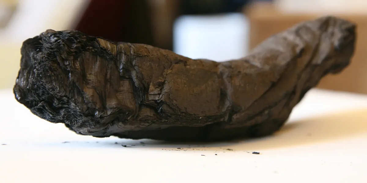 NextImg:Archaeology breakthrough as 2,000-year-old scroll charred in eruption of Mount Vesuvius reveals its secrets