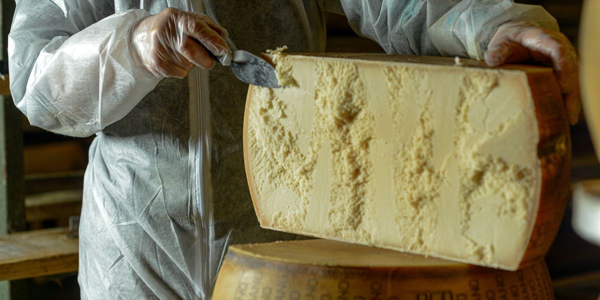 NextImg:Health fears surge as five cheeses recalled over Christmas after E. coli scare
