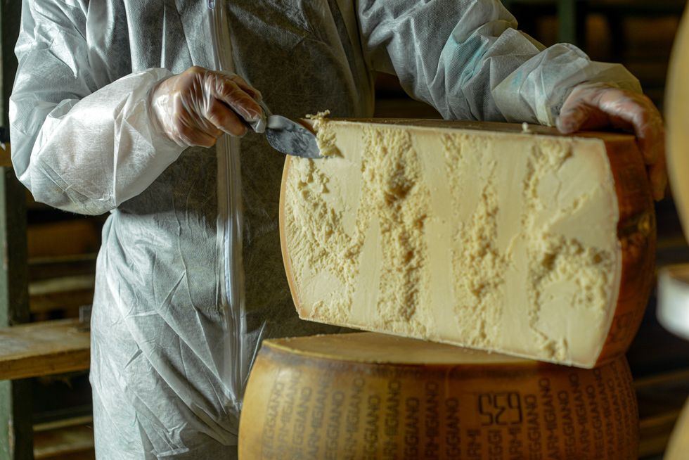 Cheese dairy master cutting a parmesan cheese wheel at the dairy - stock photo