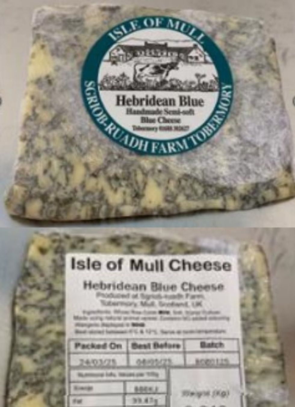 Cheese