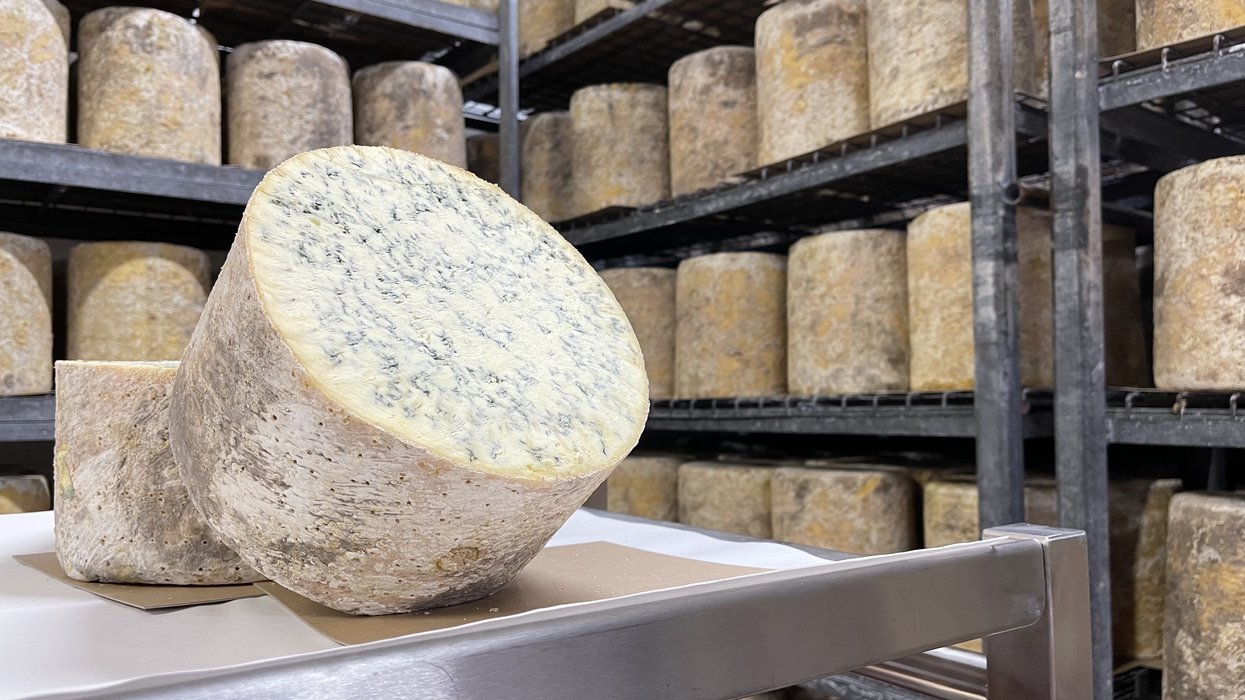Cheeseboard-loving Brits urged to eat stilton all year, not just at Christmas
