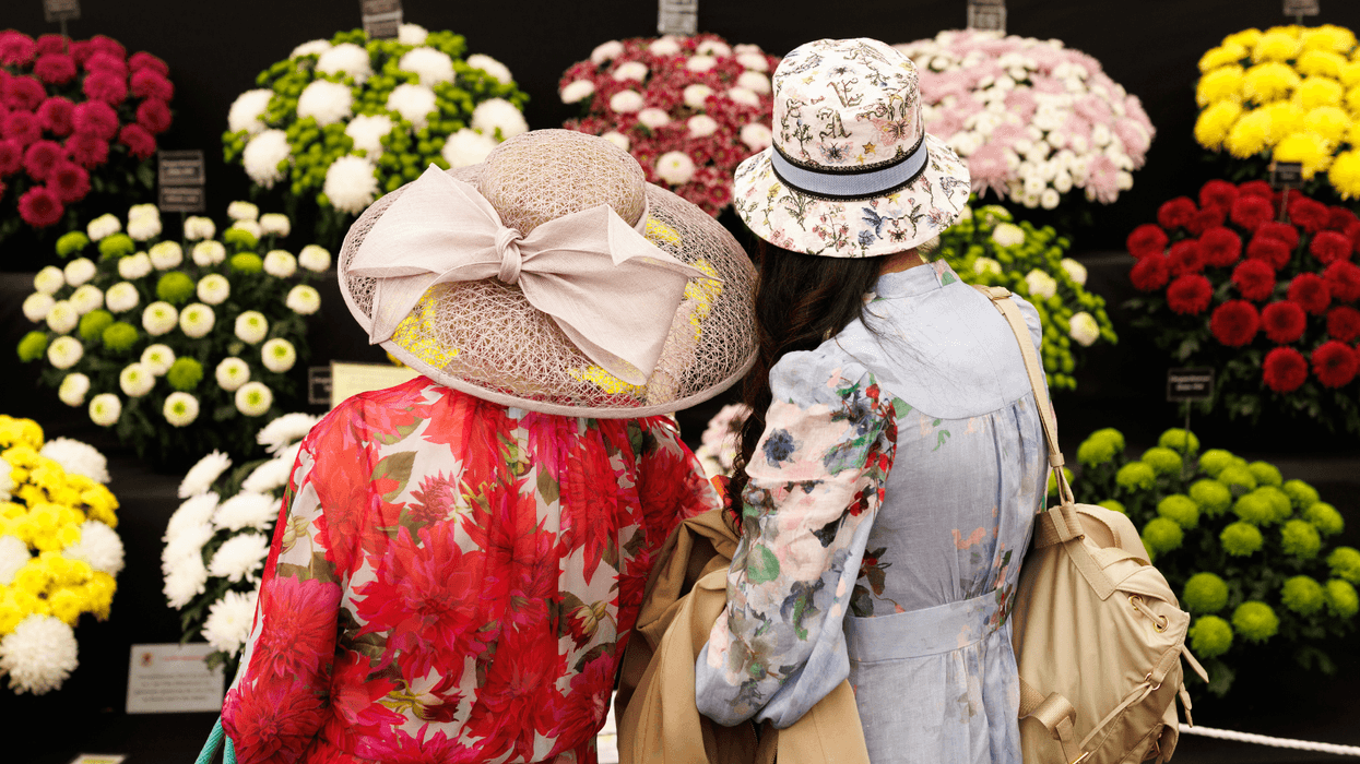 Chelsea Flower Show, 2025