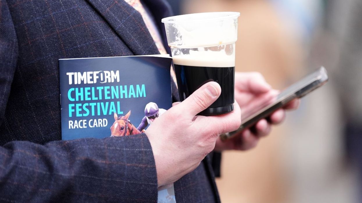 Cheltenham are set to lower the price of Guinness