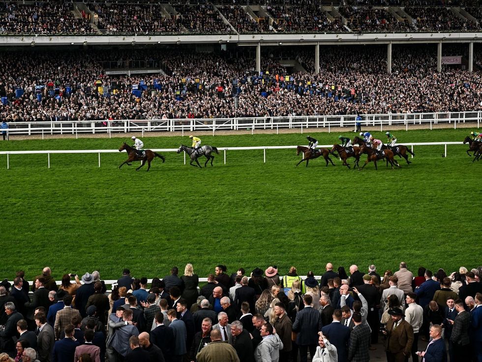 Cheltenham Festival kicks off next week