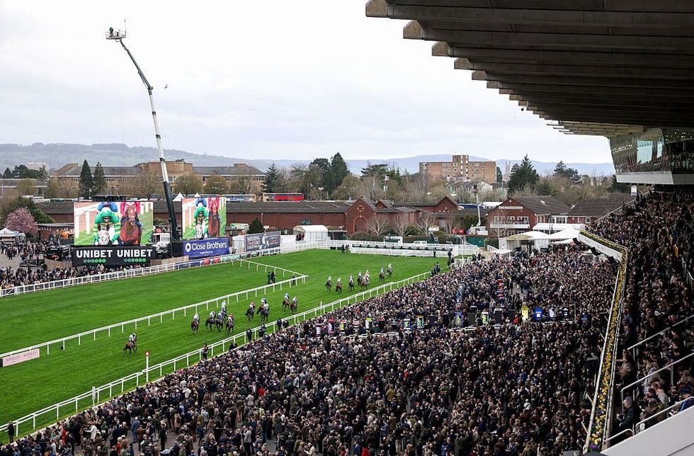 Cheltenham horse Hansard sustained a fatal injury during the Singer Arkle Challenge Trophy Novices' Chase