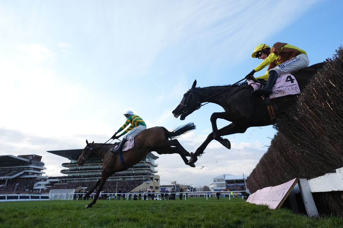 Cheltenham horses race