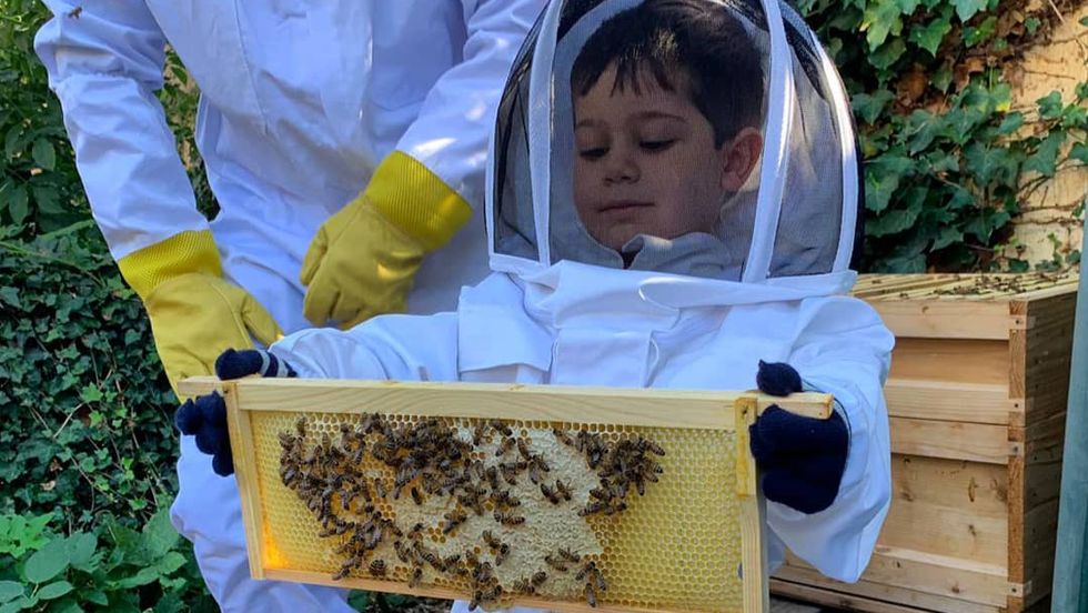 Child Bee Keeping