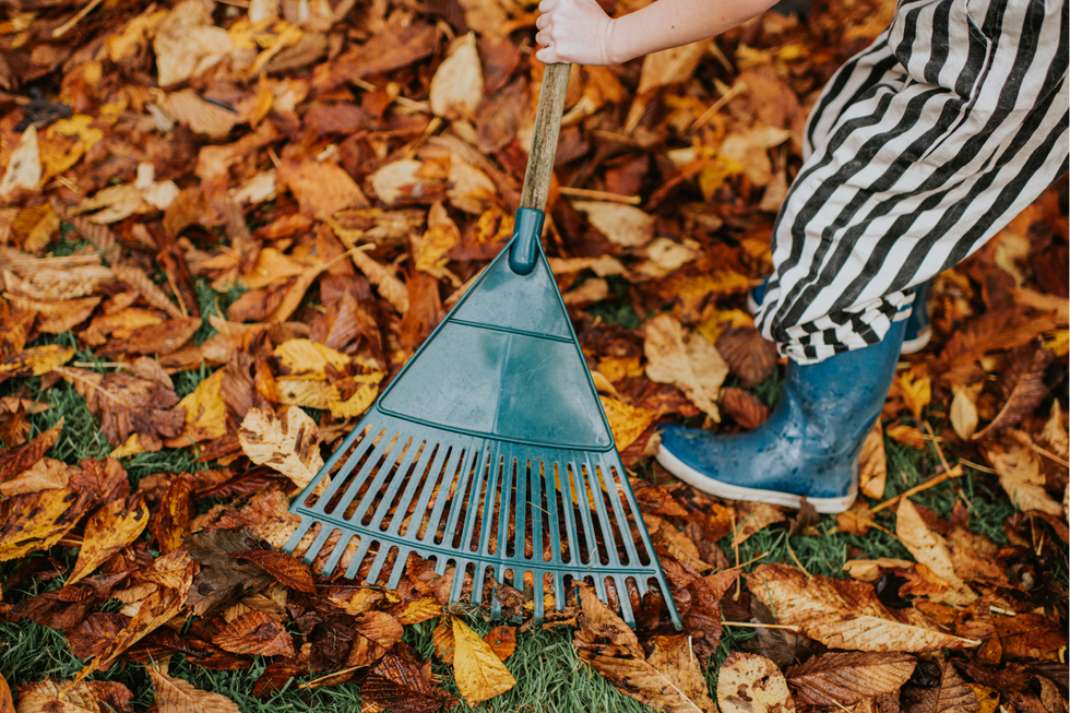 Child raking up autumn leaves