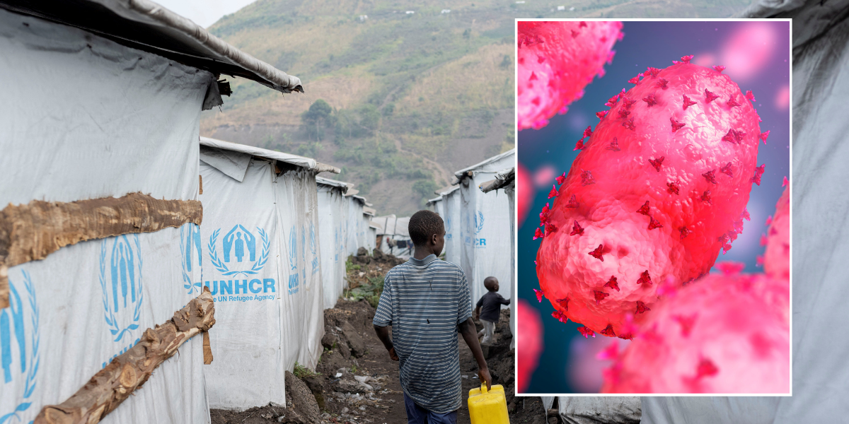 NextImg:WHO declares global health emergency as new form of mpox spreads