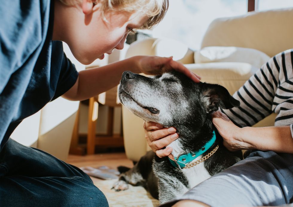 Children with dog
