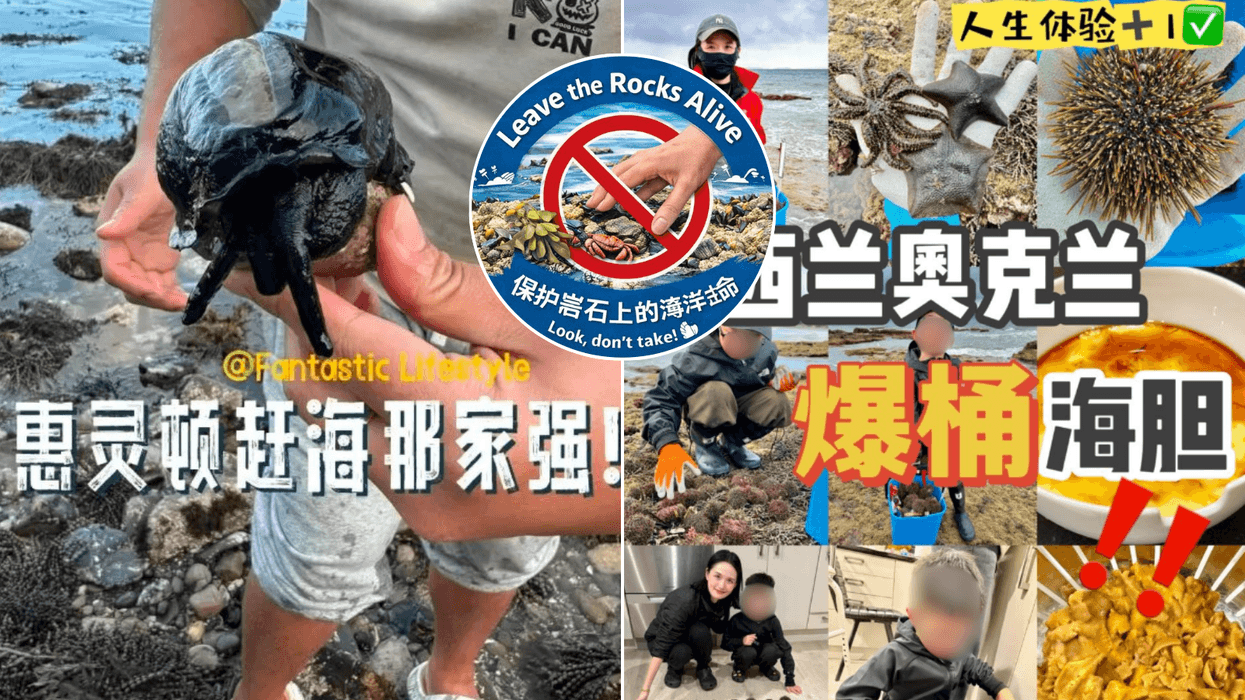 Chinese bucket people