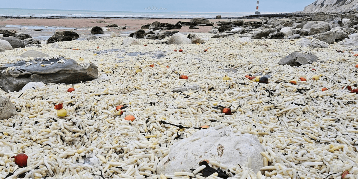 Locals left stunned after thousands of CHIPS wash up on beach Locals left stunned after thousands of CHIPS wash up on beach