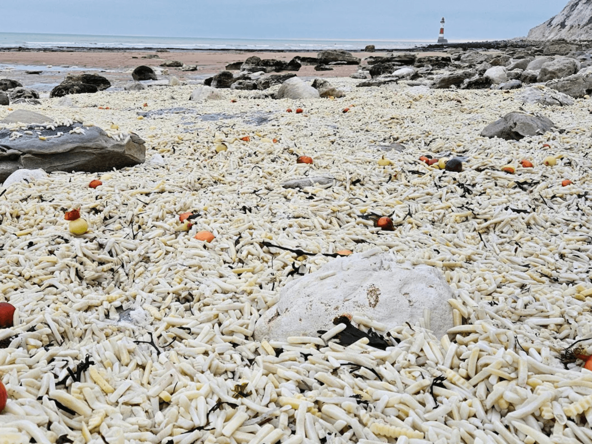 Chips discovered on Eastbourne beach