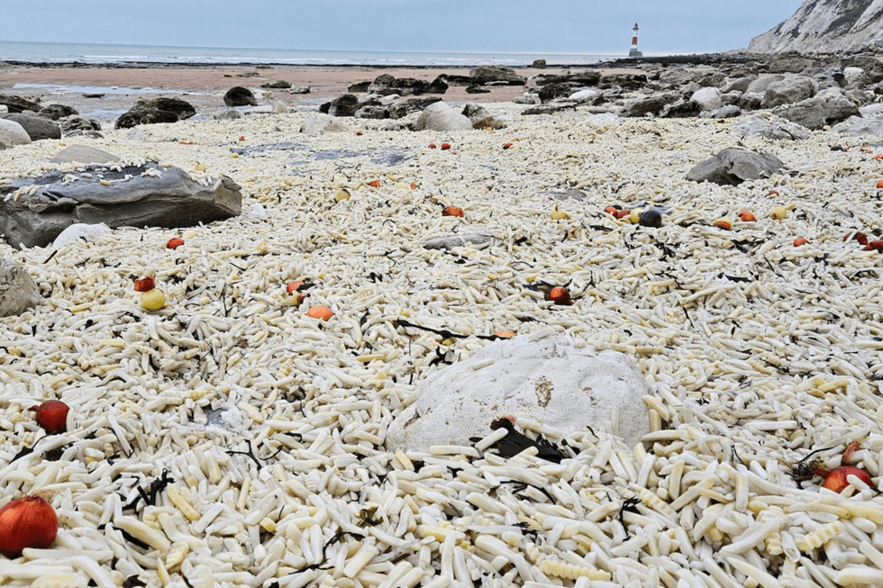Chips discovered on Eastbourne beach