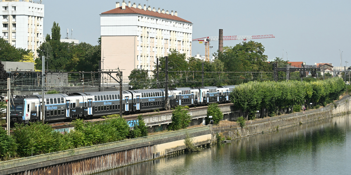 NextImg:'Algerian man' arrested in murder probe after FOUR bodies found floating in Paris's River Seine
