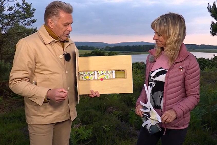 Chris Packham and Michaela Strachan
