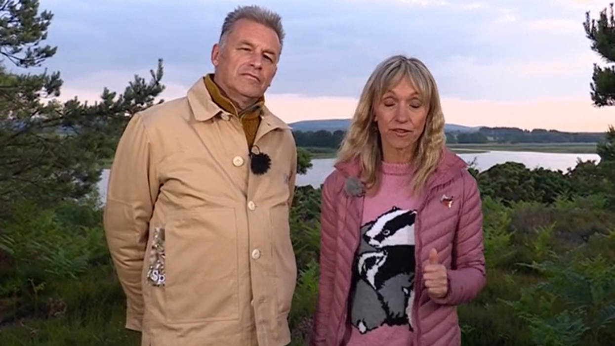 Chris Packham and Michaela Strachan
