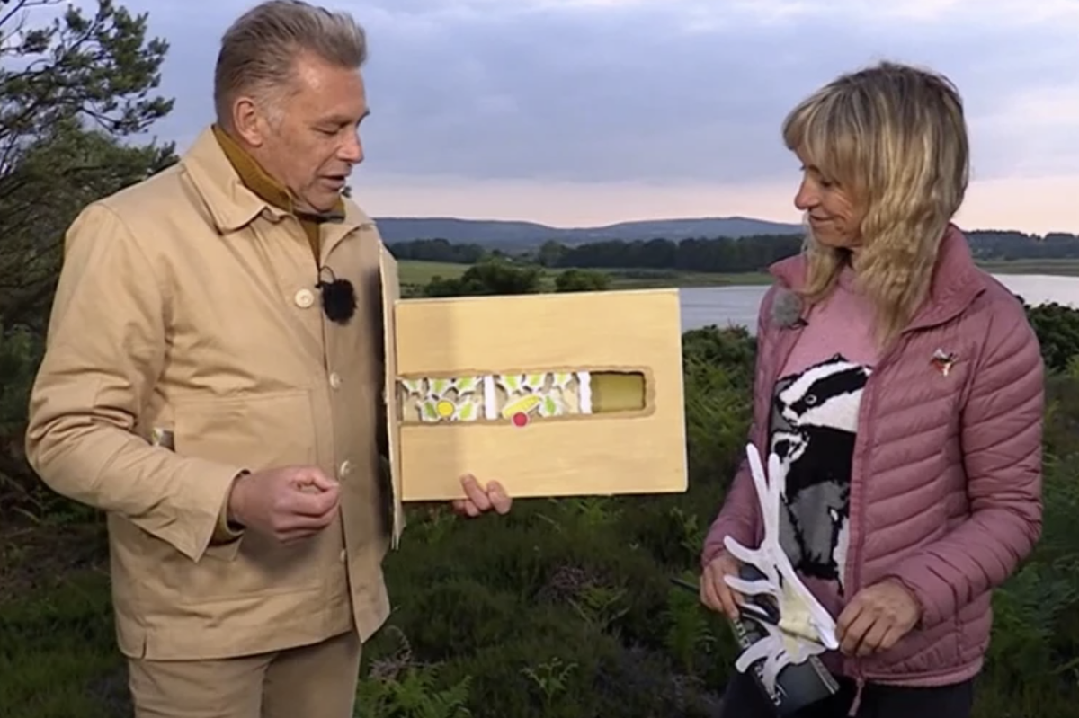 Chris Packham and Michaela Strachan